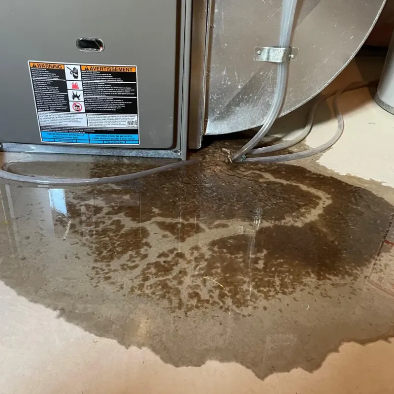 Appliance Leak Cleanup in Shelby County, IN